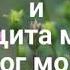 ЖИВУЩИЙ ПОД КРОВОМ ВСЕВЫШНЕГО ПСАЛОМ 90