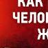 03 Честные дары начатки человеческой жизни Изъяснение Божественной Литургии Николай Кавасила