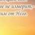 Как нужен Бог стих