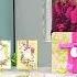 HSN Anna Griffin Elegant Paper Crafting 09 17 2024 01 AM