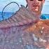 2 Hours Of Raw And Uncut Red Grouper Fishing Offshore In The Gulf Of Mexico Catch Clean Cook