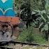 BIKER STUCK WITH KITE THREAD ON Railroad Crossing In Srilanka