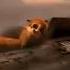 Mort Freaking Dies Mort Kingjulien Madagascar
