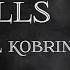 Michael Kobrin Walls LYRICS