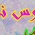 Turkish Azeri Music آهنگ شاد ترکی آذری رقص عروس داماد جمیل بایرامی