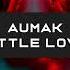 Aumak Little Love Original Mix OUT NOW