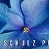 Markus Schulz In Bloom 2024 Best In Vocal Dance Vocal Trance Vocal Progressive House