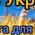 Розвага Ми з України Руханка Все буде добре Рухлива гра Жовто блакитний батл