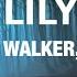 Alan Walker K 391 Lily Russian