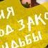 15 День Медитация Жизнь под знаком синхросудьбы