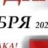 КАРТА ДНЯ События дня 8 ноября 2024 Цыганский пасьянс расклад Все знаки зодиака