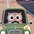 Animated Owl Journey A Relaxing Rainy Drive Loop