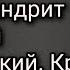 Преподобный схиархимандрит Лаврентий Черниговский Краткое житие и его пророчества