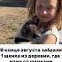 Helpanimals помощьживотным Dogshelter приют собака щенок животные доброедело творидобро