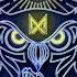 Dr Phunk Blasterjaxx Feat Maikki Insomniacs