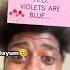 Ranking Funny Roses Are Red Violets Are Blue Filter REACTIONS Shorts Funny
