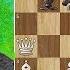 Most Beautiful Chess Game Ever Played The Evergreen Game