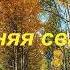 Юрий Старцев Осенняя свадьба баян