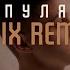 Фогель Пуля LIVIX Remix