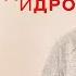 Земфира Мягков Давай поженимся BTS Подкаст Асимметрия и Димидрол Выпуск 4