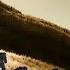 Mufasa The Lion King Animation Content Official 2025