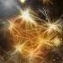 Let The Light In The Inspiring Classical Carlos Estella Royalty Free Music