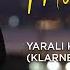 Murat Evgin Yaralı Kuşlar Tema Klarnet Ud Versiyon Official Audio