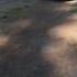 Car Making Popping Noise When Braking