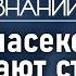 Зачем учёным превращать насекомых в киборгов Лекция зоолога Ильи Гомыранова