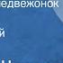 Михаил Шиханов Митрофан и медвежонок Рассказ Читает Георгий Шапошников 1990