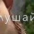 Мы очень очень тупые