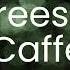 Trees Ii McCafferty Lyrics