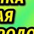 Улыбка Джокера В сети активно обсуждают неудачную пластику Марины Зудиной личная жизнь биография