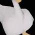 1 5 Hours Of A Goose Walking