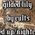 Gilded Lily By Cults 𝐬𝐩𝐞𝐝 𝐮𝐩 𝐧𝐢𝐠𝐡𝐭𝐜𝐨𝐫𝐞