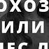 Домохозяйки Нужно ли женщине работать на работе