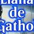 Llana De Gathol Edgar Rice Burroughs Resumen