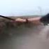 Couple Dives Into Trench During Tornado