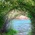 Mindfulness Nature Moment To Help You Feel Better And Relax Mindfulness Meditation Nature Relax