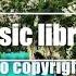 Swing Rabbit Swing Amarià Music Library Free Copyright Safe Music