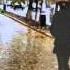 Тоска осенняя М Легран Саксофон