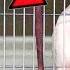 The Dog Lowered His Snout And Pressed Against The Wall He Was Surrendered To A Shelter And His Ca