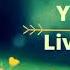 Whitewildbear You Only Live Once Flac Quality