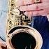 Sofia Rotaru София Ротару Червона рута SAX Cover By OppositeMus
