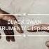 Black Swan Instrumental BTS SPEED UP