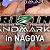 公開計量 RIZIN LANDMARK 10 In NAGOYA