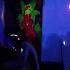 Toxeed Live Belgium Psytrance Goa