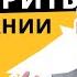 О чём нельзя говорить в Германии 10 запрещённых тем и фраз в общении с немцами