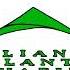 2249 Green Alliance Atlantis Vivafilm Logo