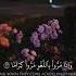 Surah Al Furqan Beautiful Recitation 25 70 73 Quran Quranrecitation Islam Shorts Peaceful